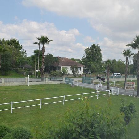 Serbesler Botanik, No 1 Comfortable Villa Sakarya  Eksteriør billede