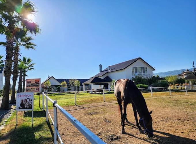 Serbesler Botanik, No 1 Comfortable Villa Sakarya  Eksteriør billede