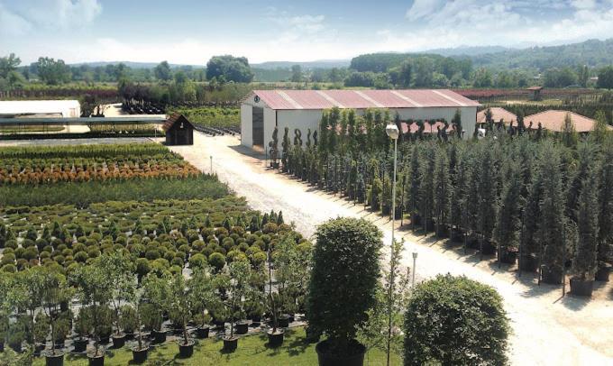 Serbesler Botanik, No 1 Comfortable Villa Sakarya  Eksteriør billede