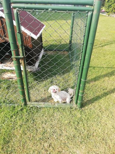 Serbesler Botanik, No 1 Comfortable Villa Sakarya  Eksteriør billede