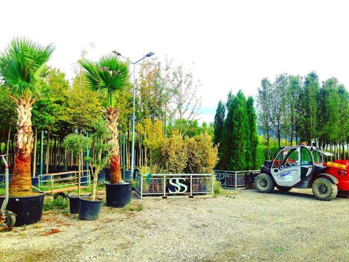 Serbesler Botanik, No 1 Comfortable Villa Sakarya  Eksteriør billede